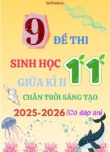 Tuyển tập 9 Đề thi giữa kì 2 năm học 2025-2026 môn Sinh học 11 CTST (Kèm đáp án)